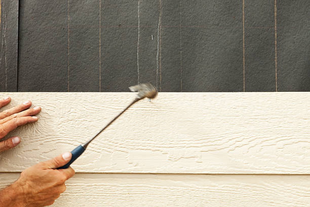 Best Engineered Wood Siding  in Decatur, TX